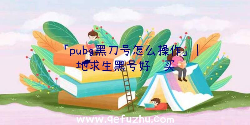 「pubg黑刀号怎么操作」|绝地求生黑号好购买